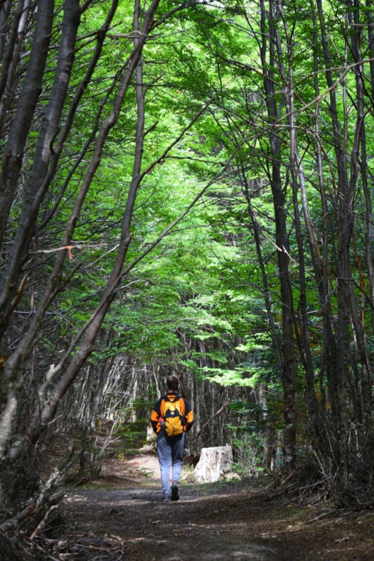 Parque Nacional Tierra del Fuego - Secretaria de Turismo Ushuaia