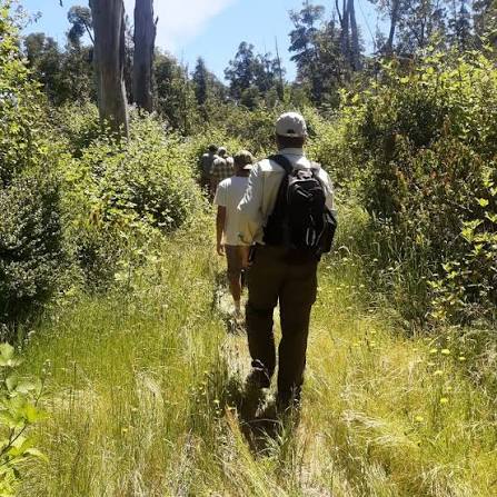 Bosques Milenarios: los Alerces y Lago Puelo