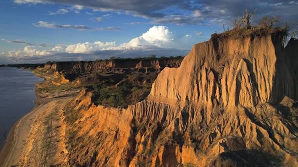 Avistaje de Aves en los Humedales Argentinos