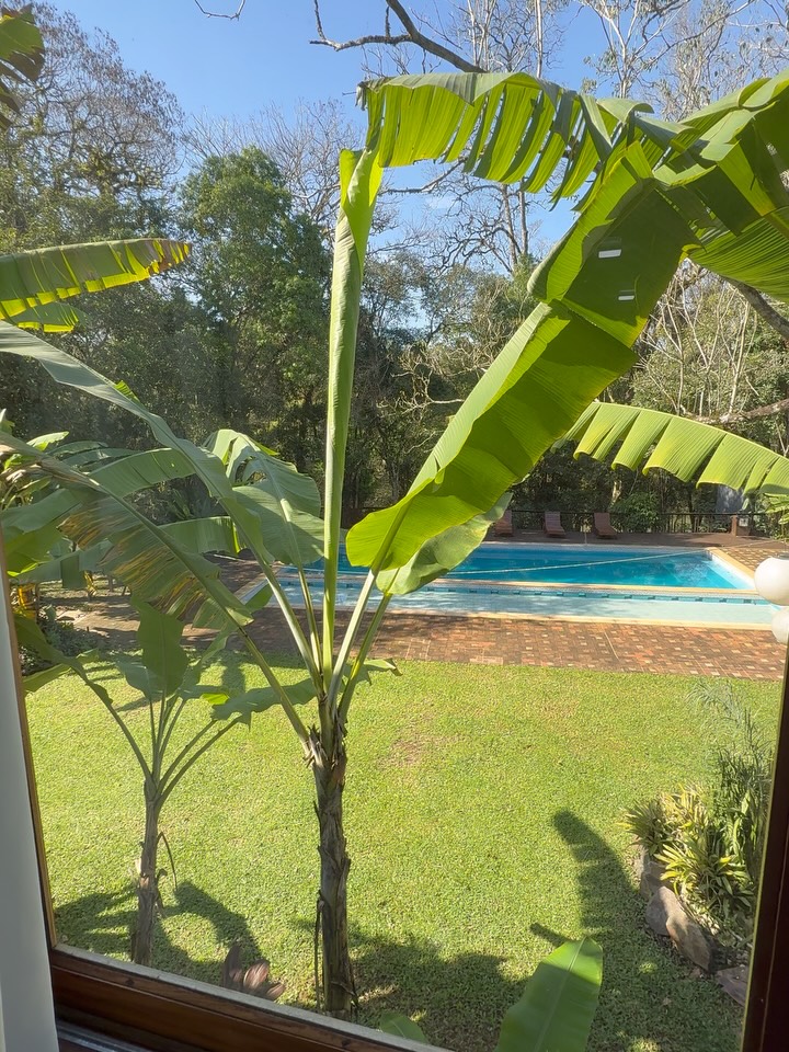 Kayak y trekking en Misiones 8