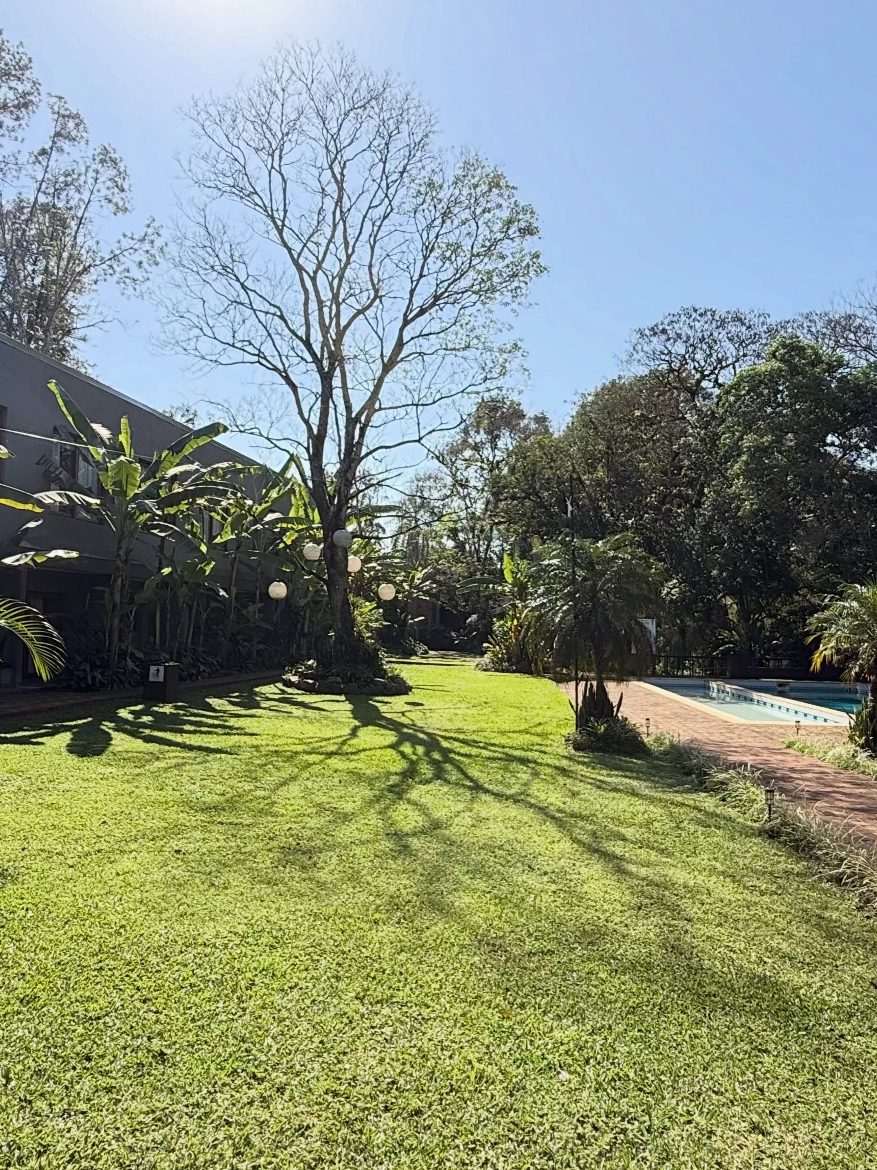 Kayak y trekking en Misiones 10