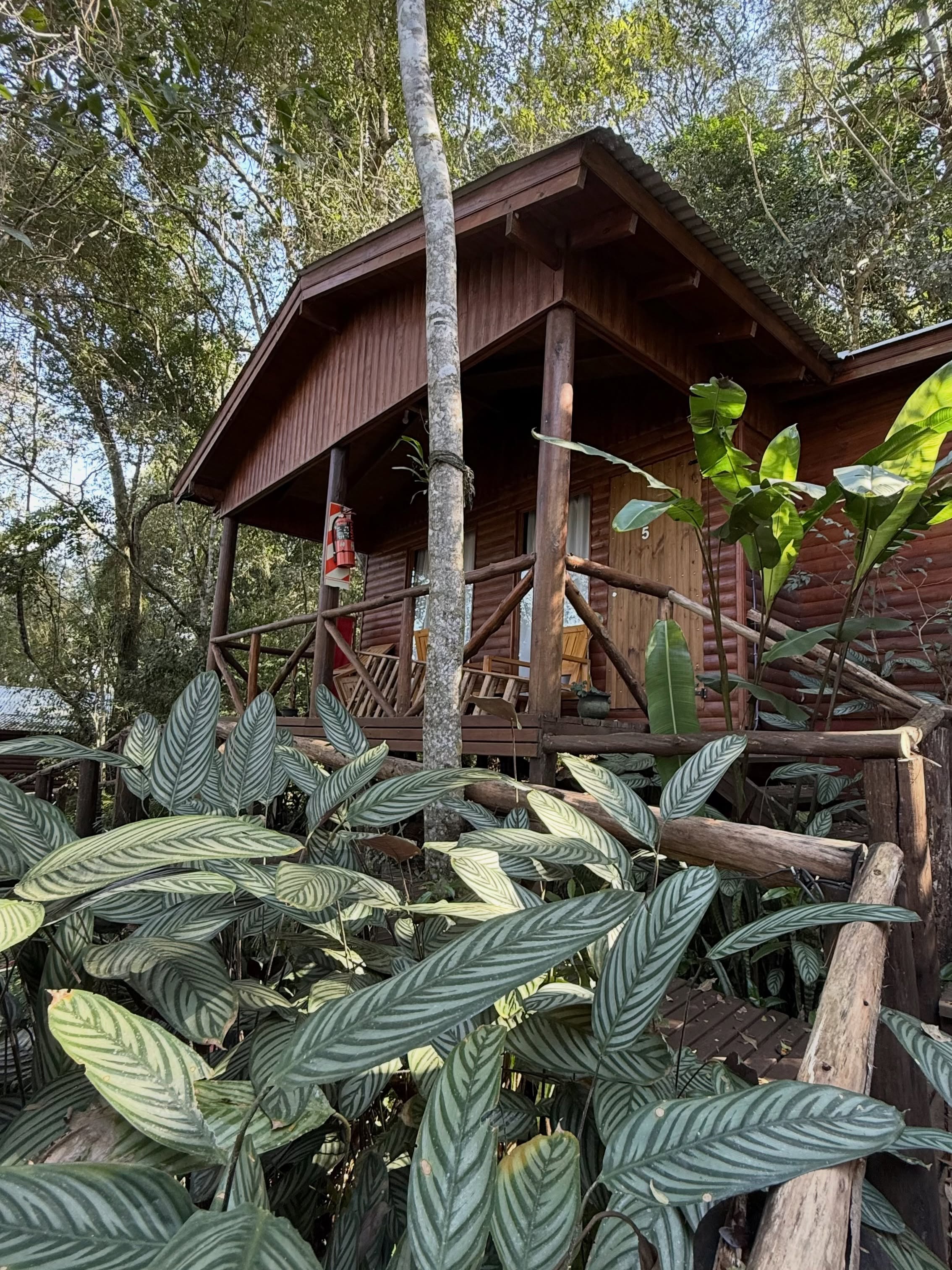 Kayak y trekking en Misiones 13