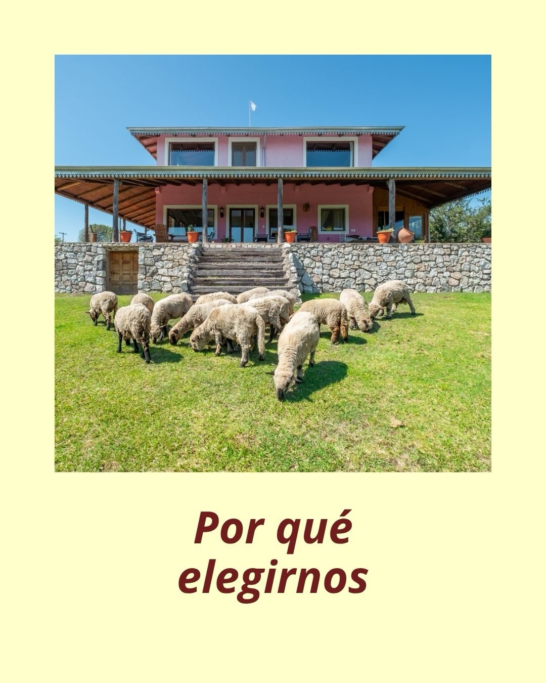 Vivir el campo en las Sierras de Calamuchita 12