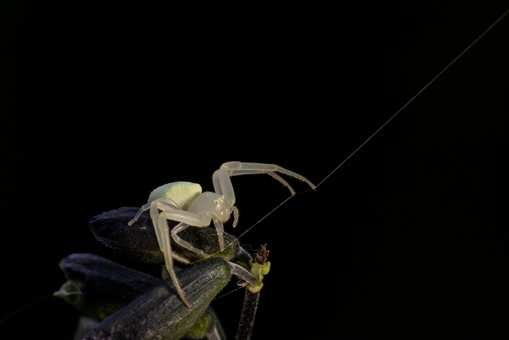 Fotografiar la naturaleza aprendiendo a mirar 5