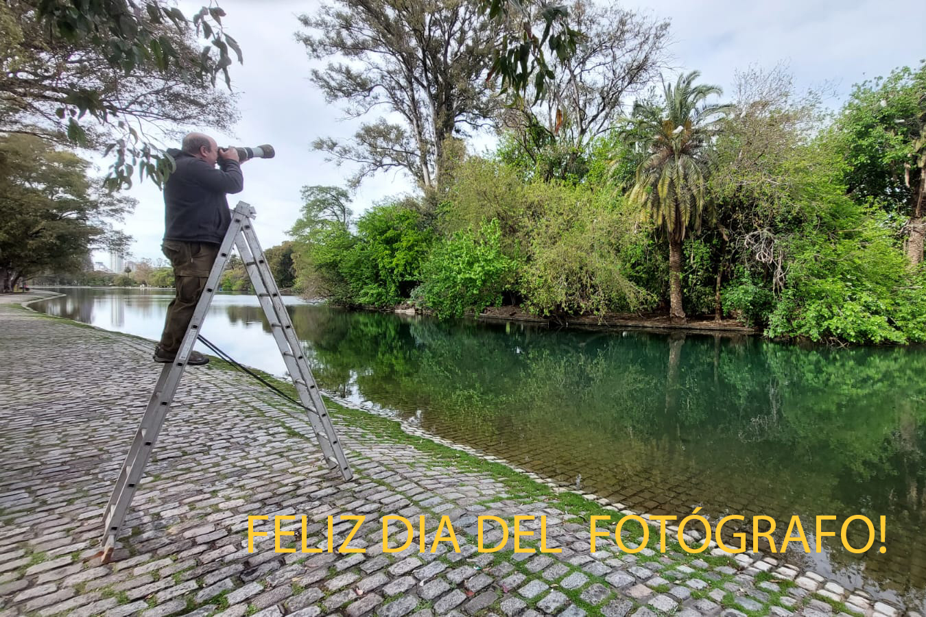 Fotografiar la naturaleza aprendiendo a mirar 7