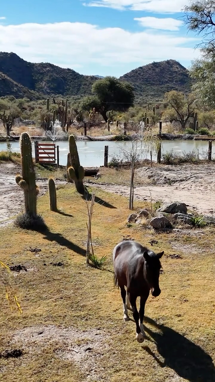 Lalina Cabañas | Agua Blanca, La Rioja 2