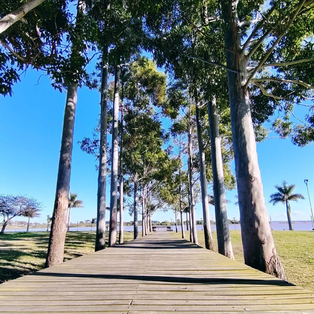 Una escapada de descanso frente a las Termas de Federación 5