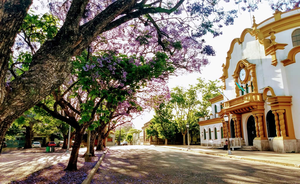 Chascomús: una escapada para bajar el ritmo un paso a la vez