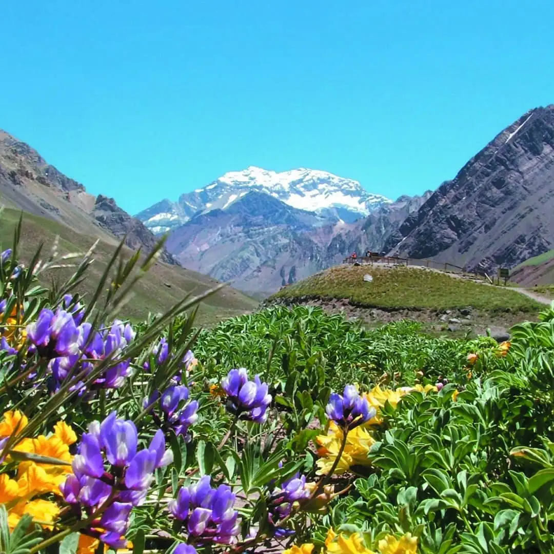 Parque Provincial Aconcagua