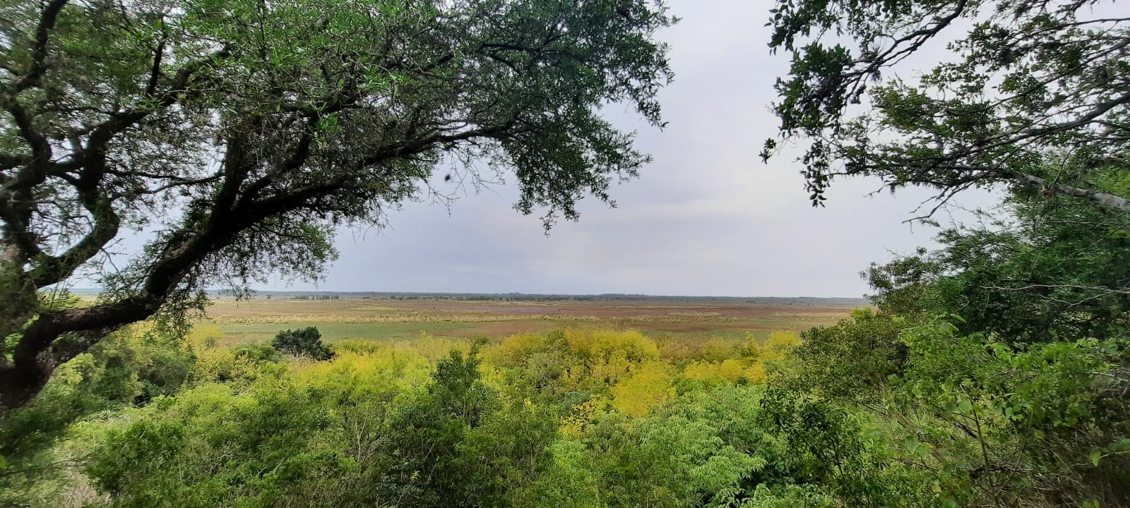 Parque Nacional Ciervo de los Pantanos