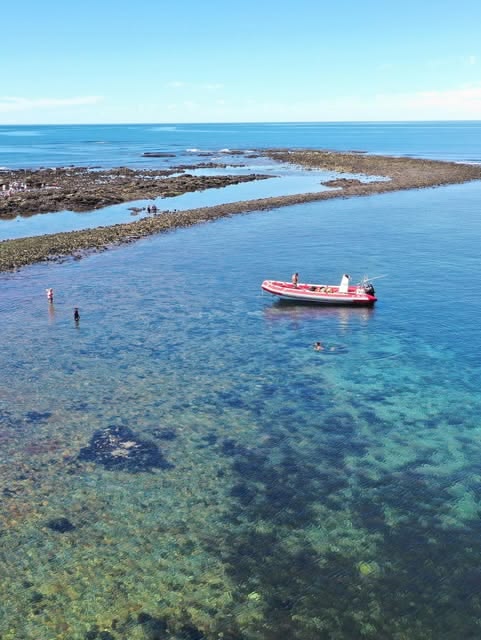 Cota Cero Buceo 7