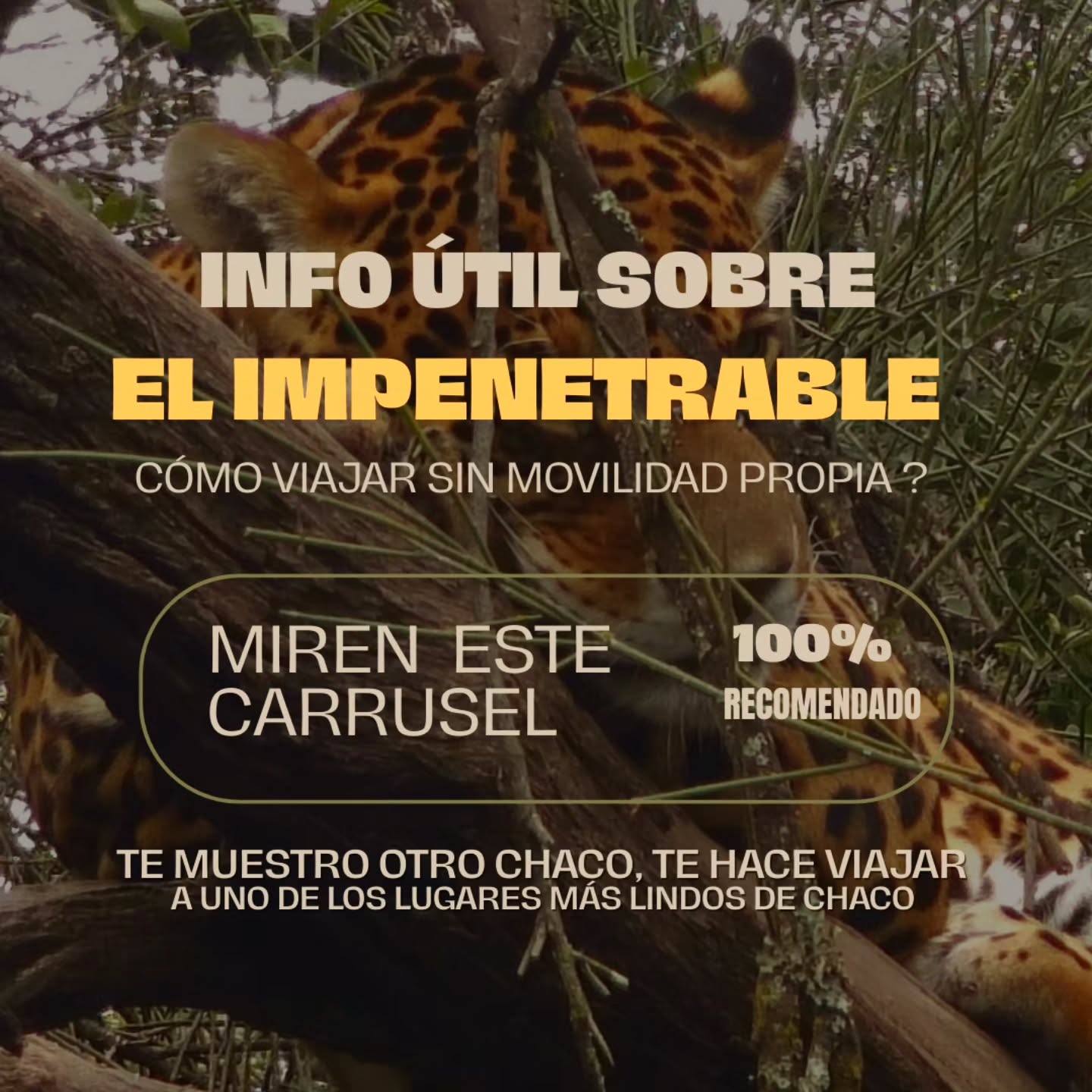 Te Muestro Otro Chaco 6