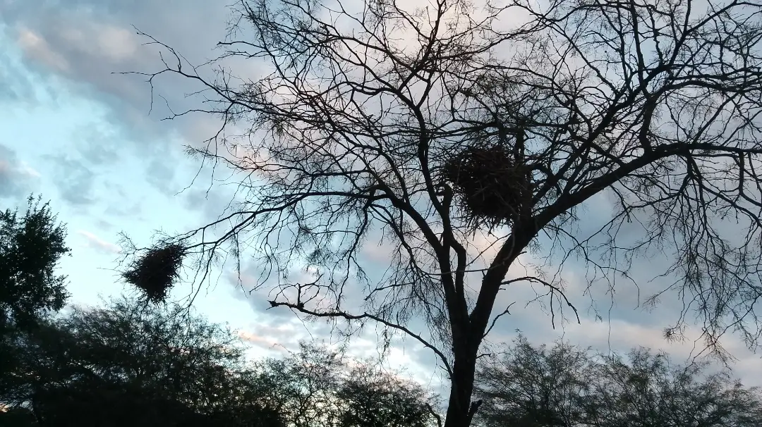Paraje Mailín | Santiago del Estero 1