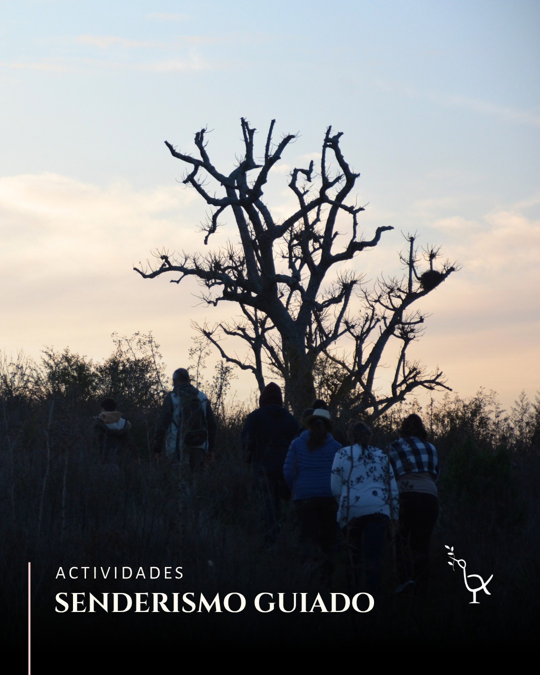 Estancia La Titina | Entre Ríos  2