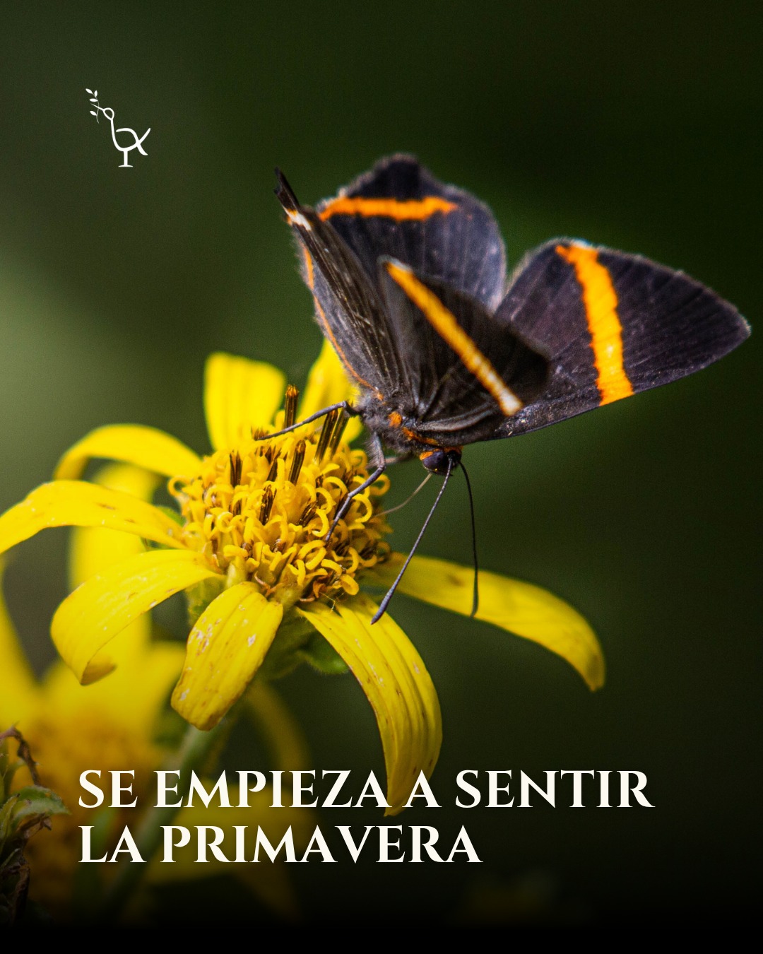 Estancia La Titina | Entre Ríos  9