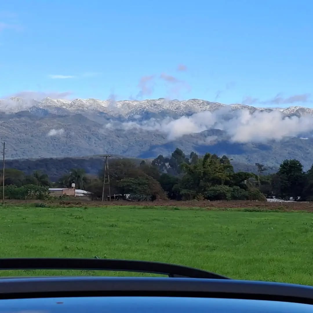 Cocha Safaris | Tucumán 4