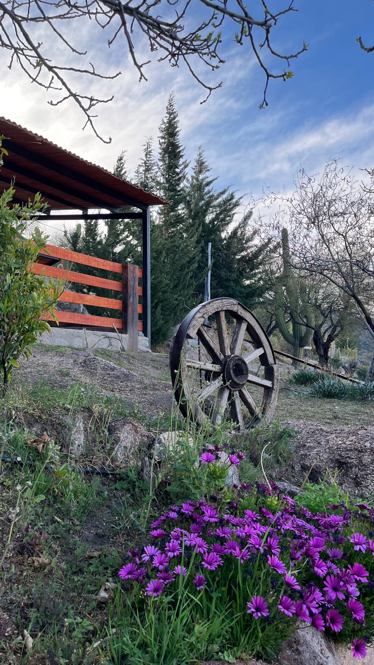 Lalina Cabañas | Agua Blanca, La Rioja 9