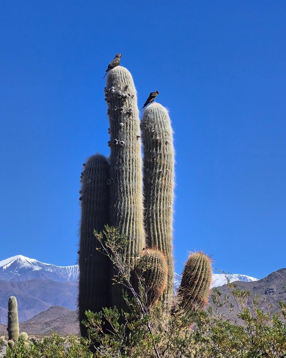 Casa Real Hotel | Salta 9